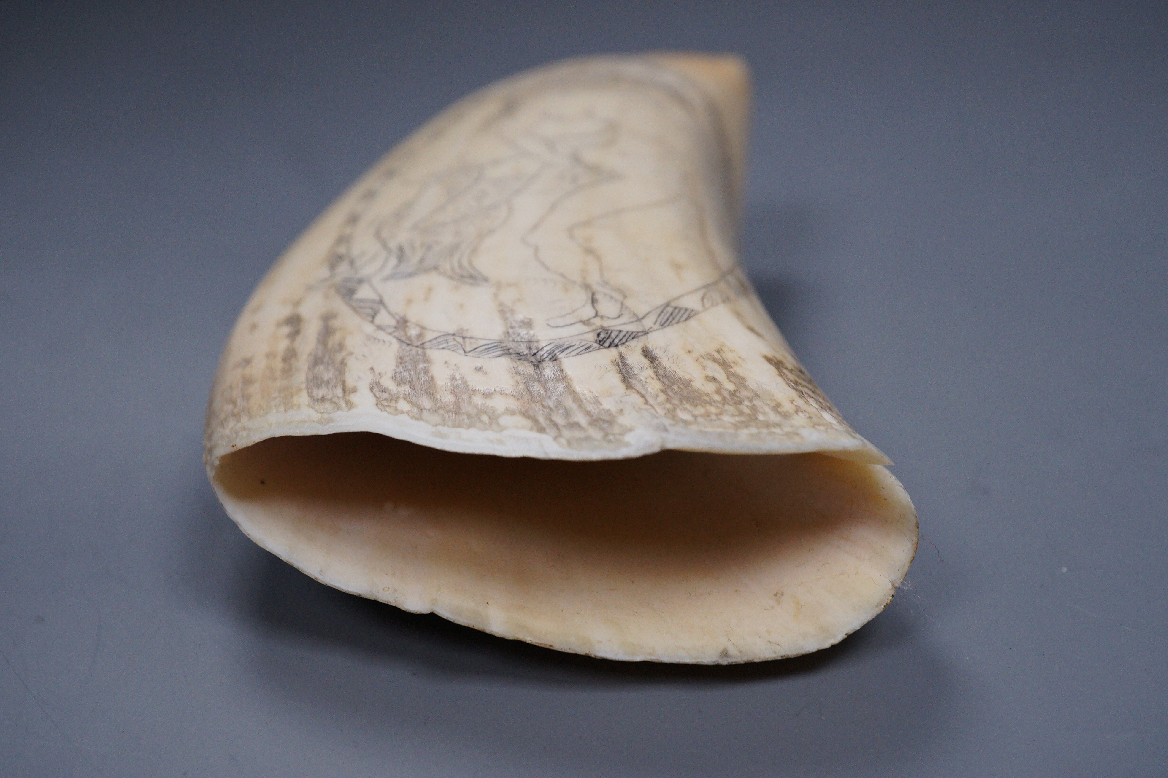 An erotic carved scrimshaw whale tooth, 13cm